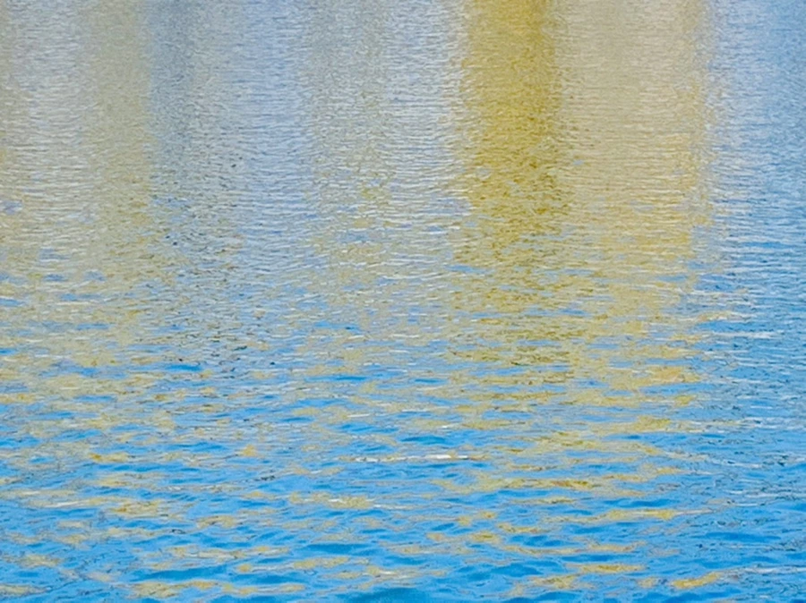 IMG_9956.jpg?type=w966