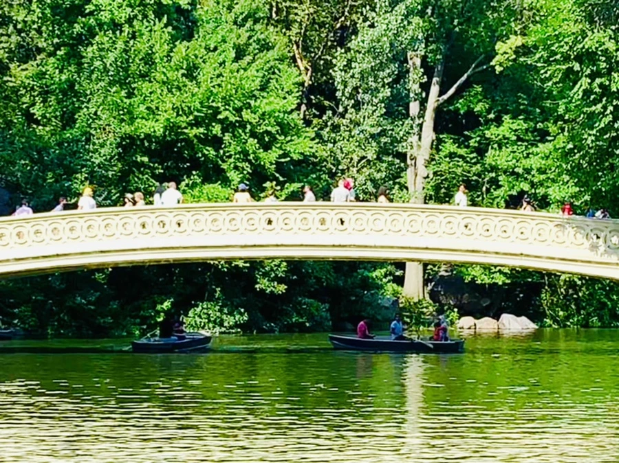 IMG_3433.jpg?type=w966