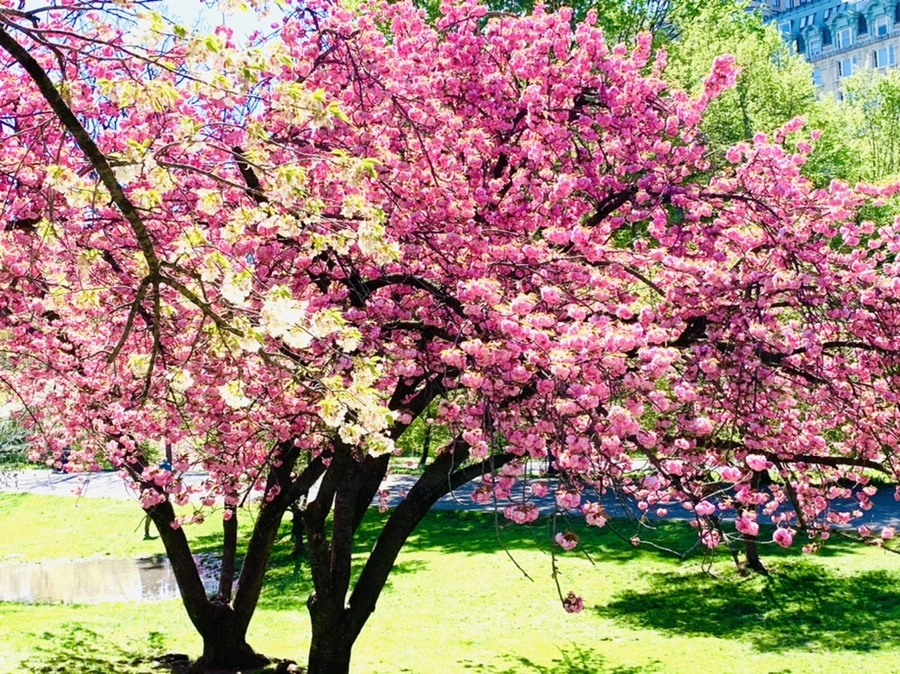 IMG_5873.jpg?type=w966