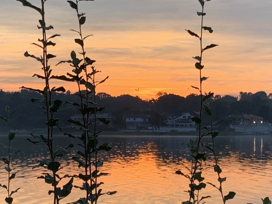 IMG_6781.jpg?type=w966