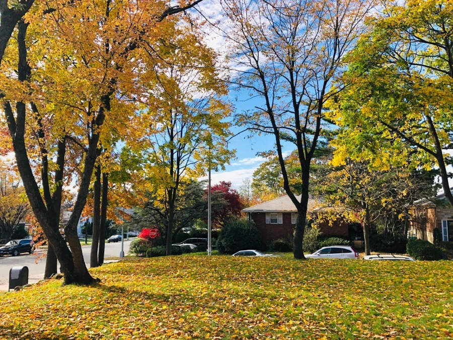 IMG_7482.jpg?type=w966