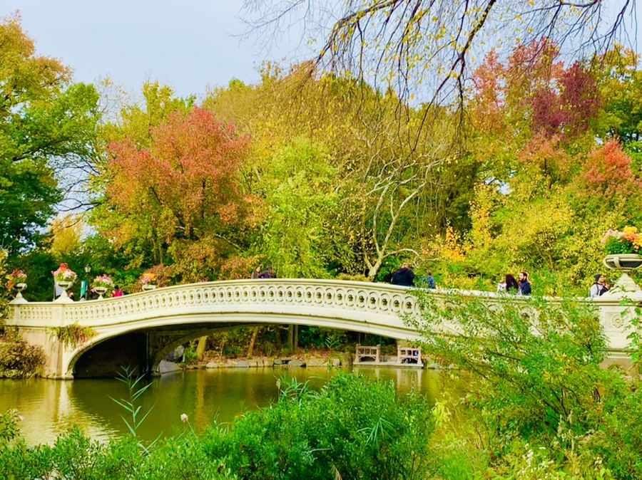 IMG_0174.jpg?type=w966