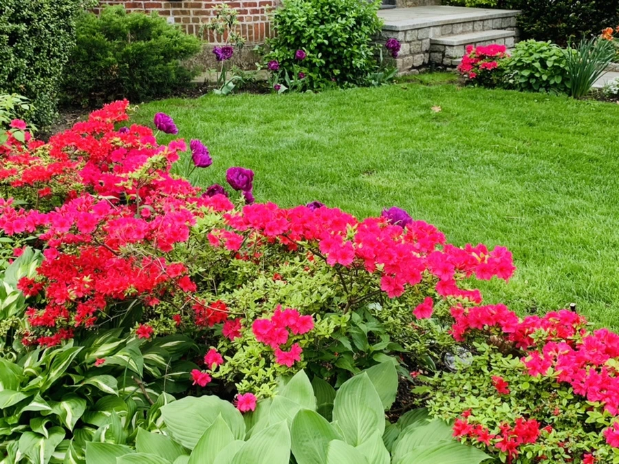 IMG_0495.jpg?type=w966