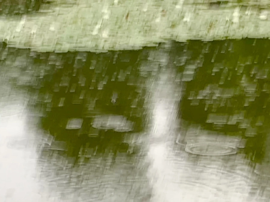 IMG_8319.jpg?type=w966