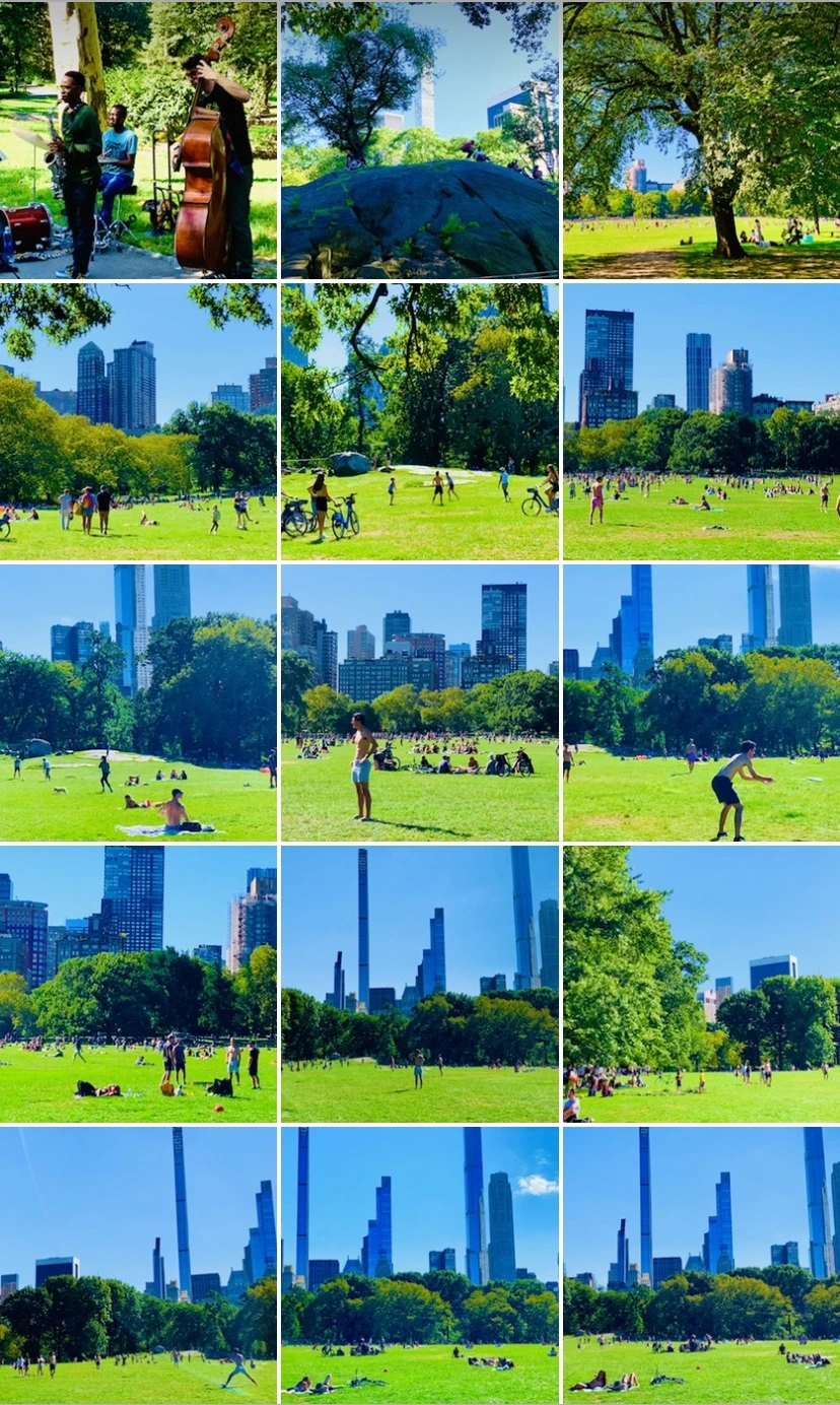 IMG_7704.jpg?type=w966