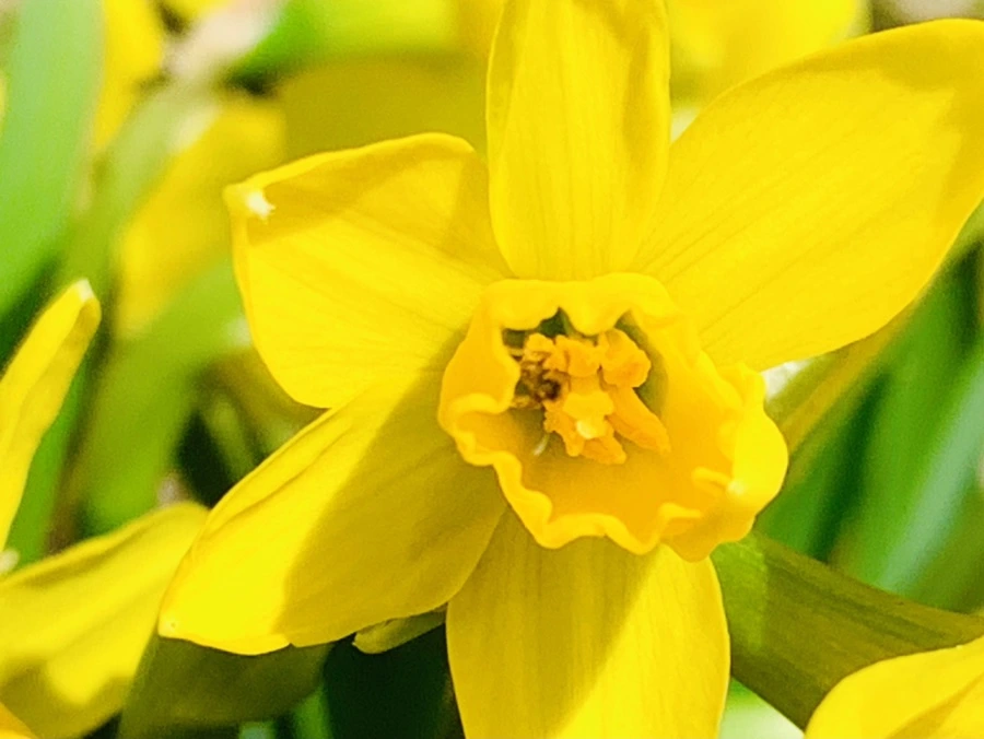 IMG_3422.jpg?type=w966