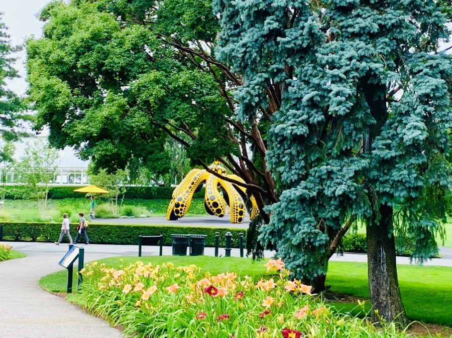 IMG_2583.jpg?type=w966