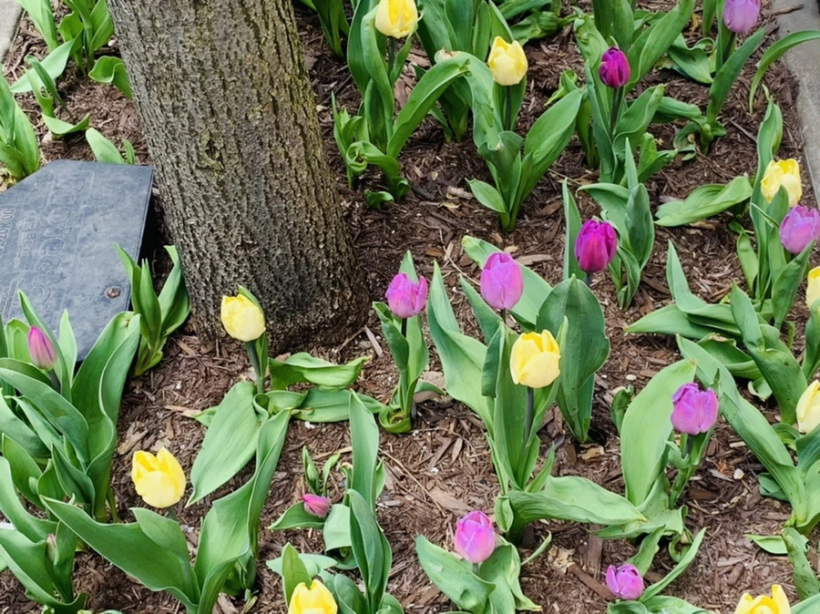 IMG_0049.jpg?type=w966