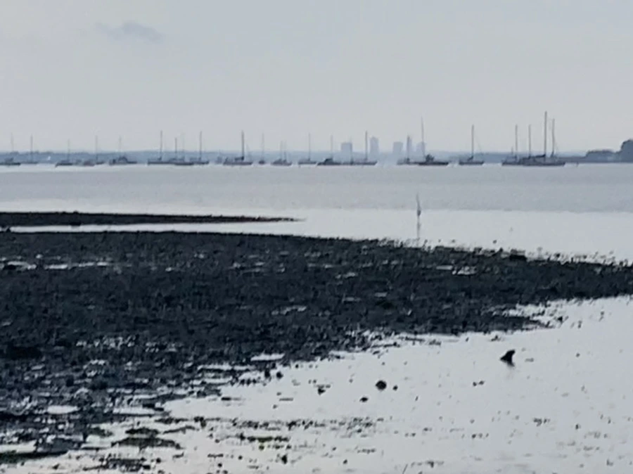 IMG_8132.jpg?type=w966