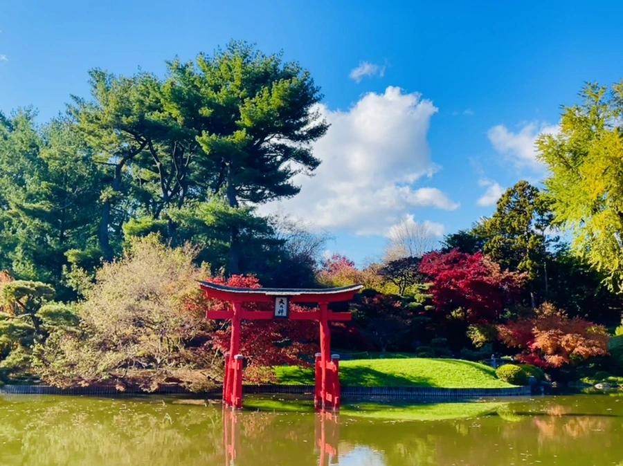 IMG_3051.jpg?type=w966