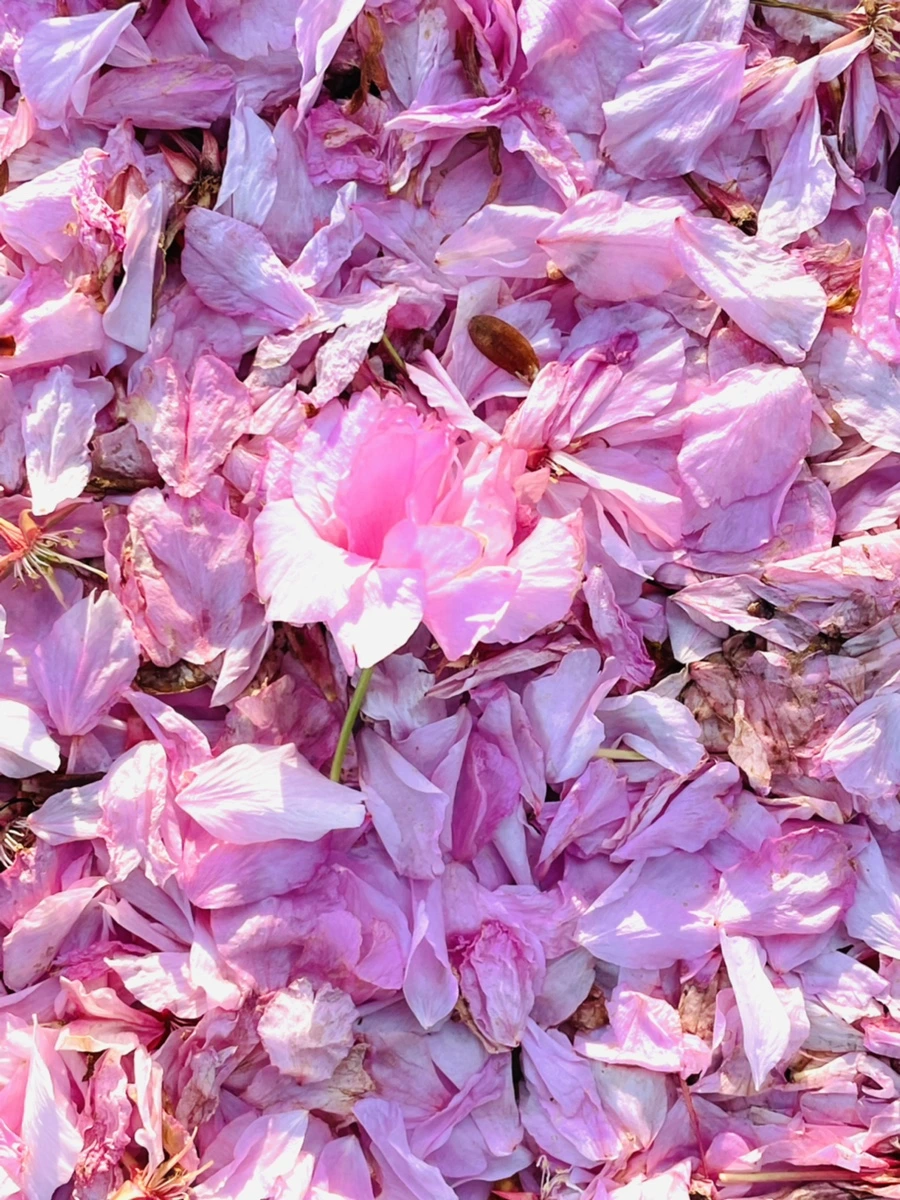 IMG_5891.jpg?type=w966