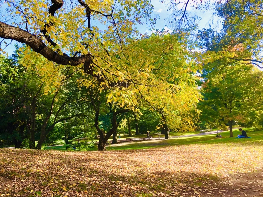 IMG_2100.jpg?type=w966