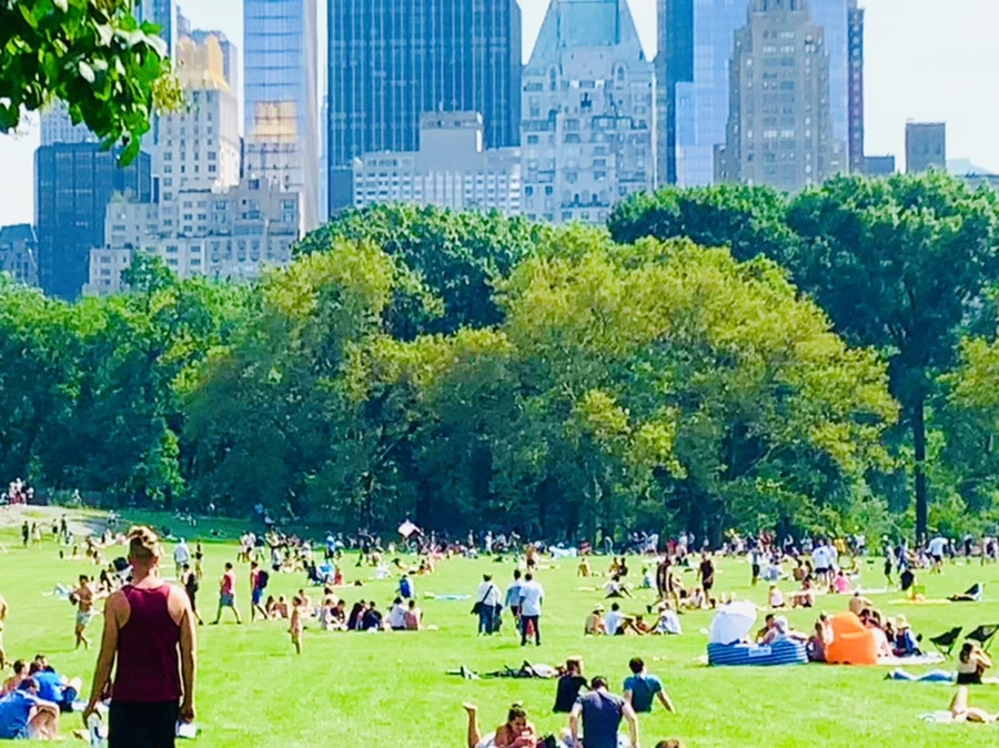 IMG_0617.jpg?type=w966