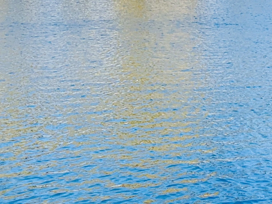 IMG_9953.jpg?type=w966