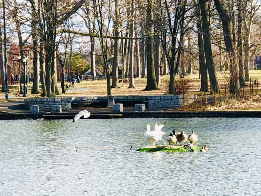 IMG_9228.jpg?type=w966