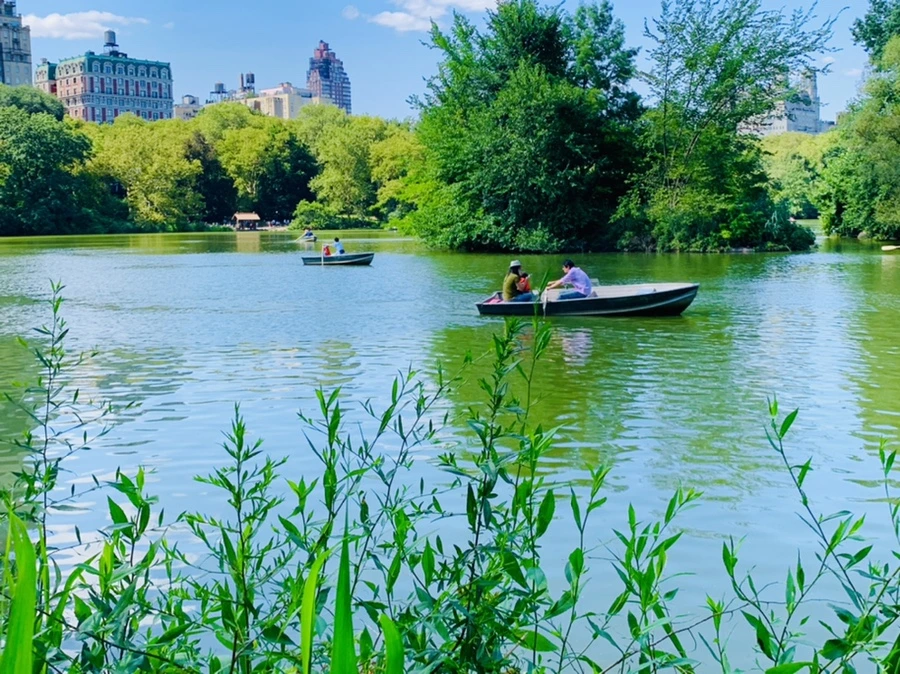 IMG_4478.jpg?type=w966