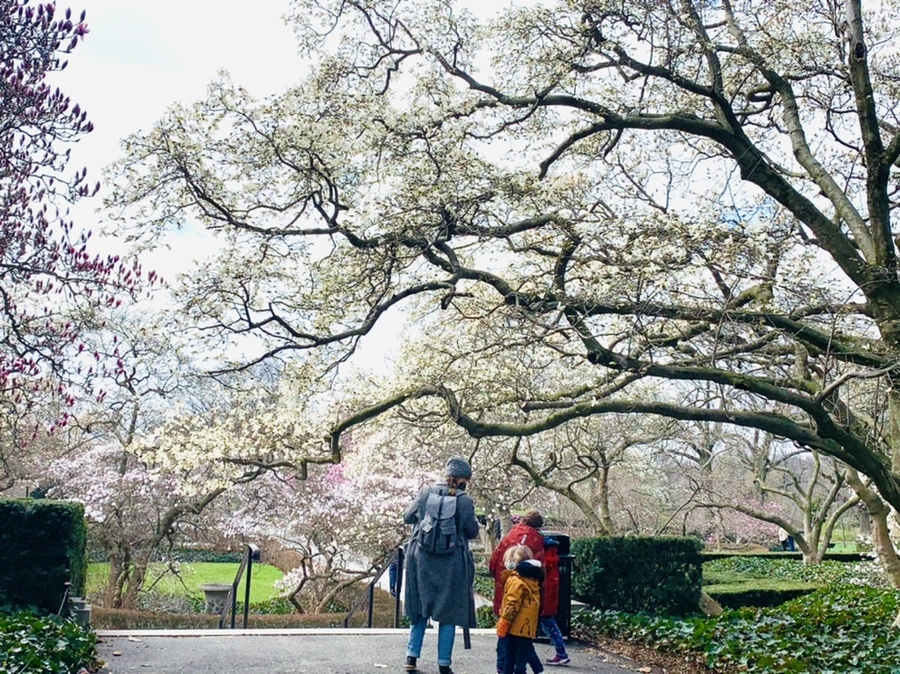 IMG_6465.jpg?type=w966