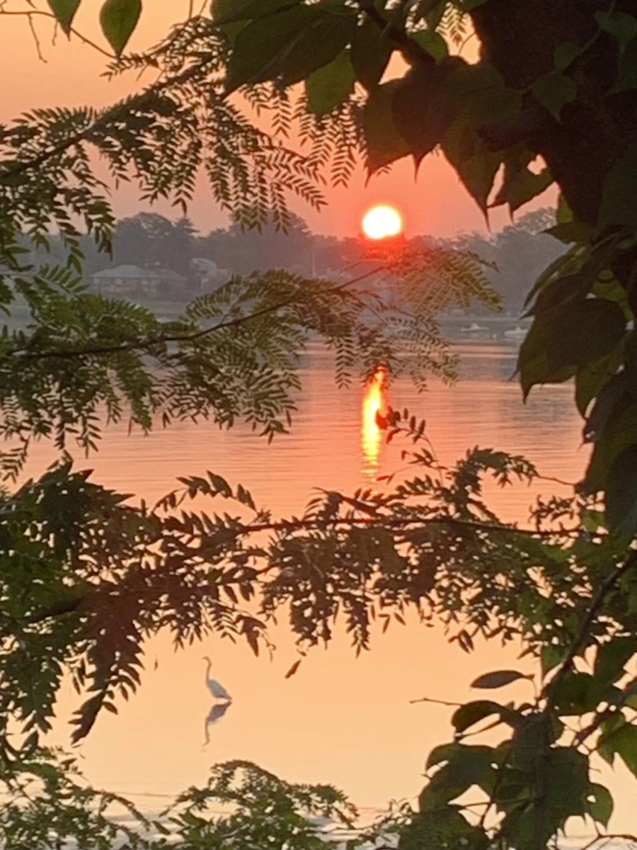 IMG_4402.jpg?type=w966