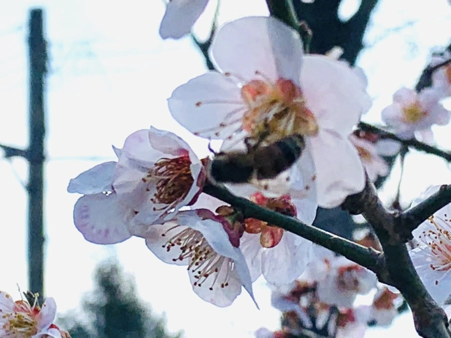 IMG_4180.jpg?type=w966