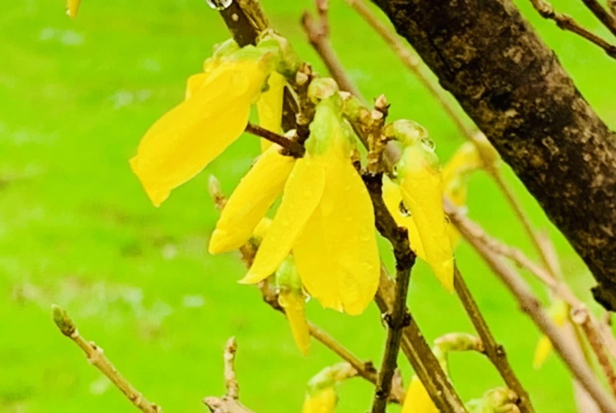 IMG_5068.jpg?type=w966