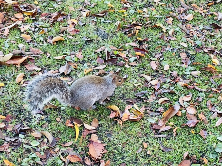 IMG_2570.jpg?type=w966