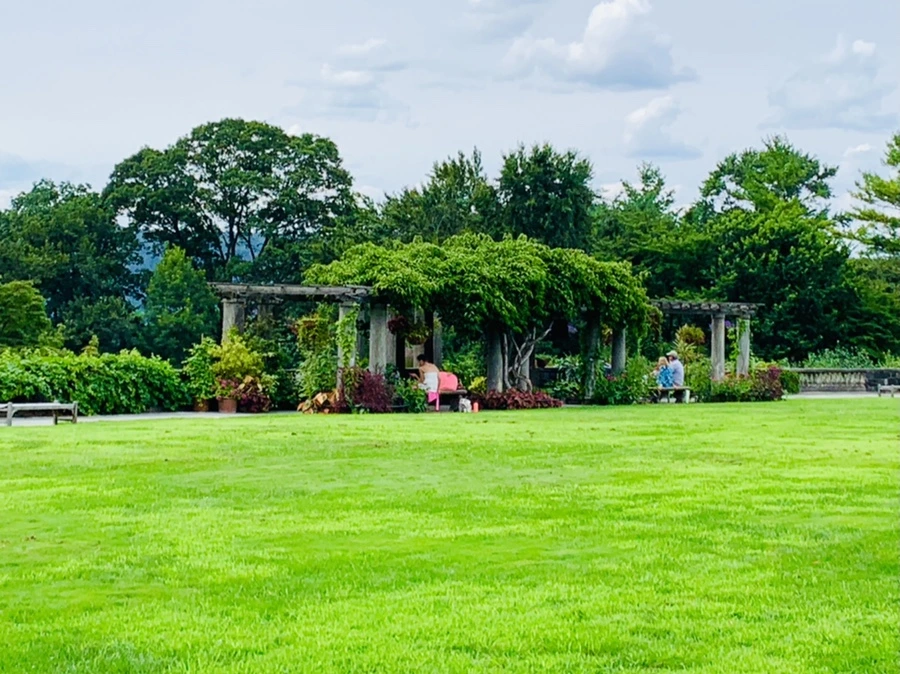 IMG_9515.jpg?type=w966