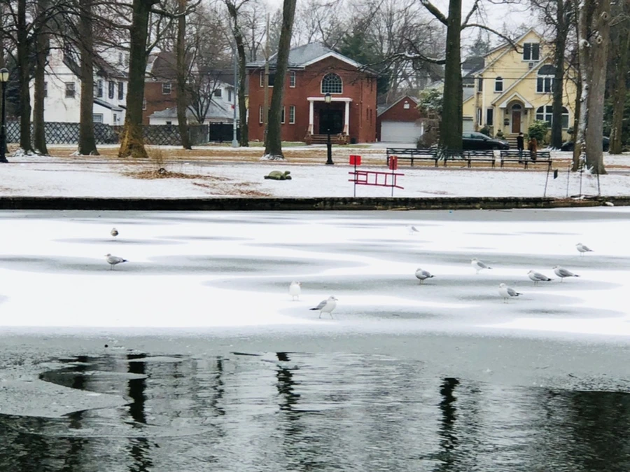 IMG_6281.jpg?type=w966