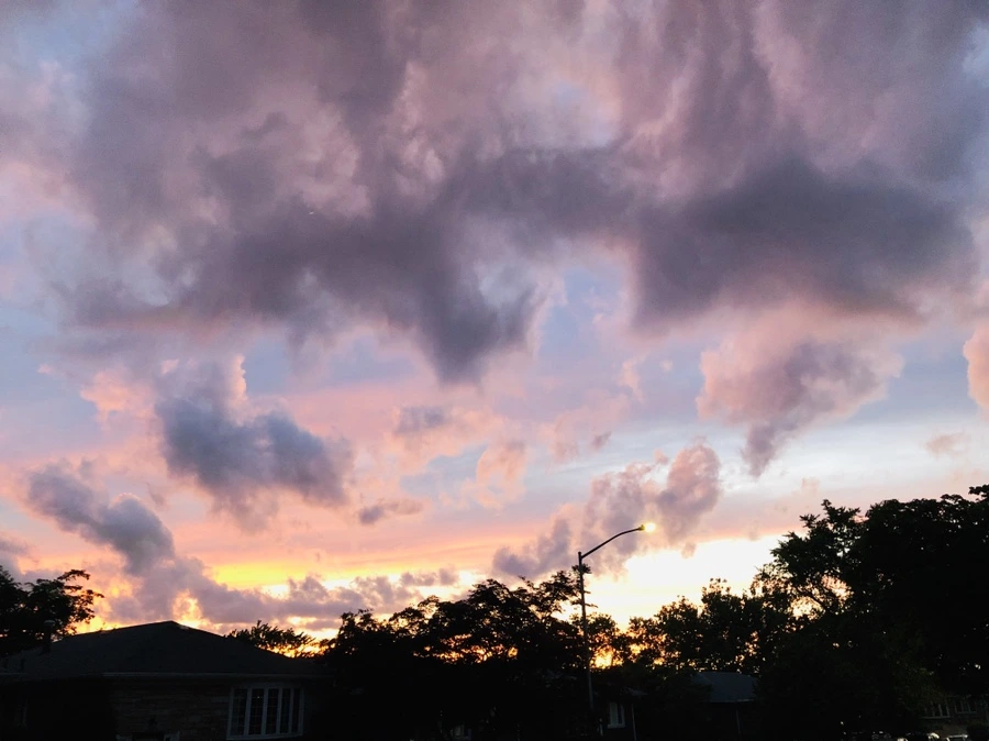 IMG_0508.jpg?type=w966