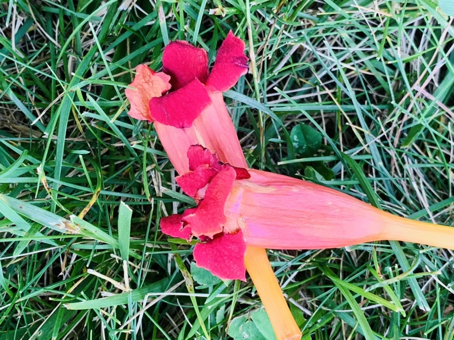 IMG_8256.jpg?type=w966