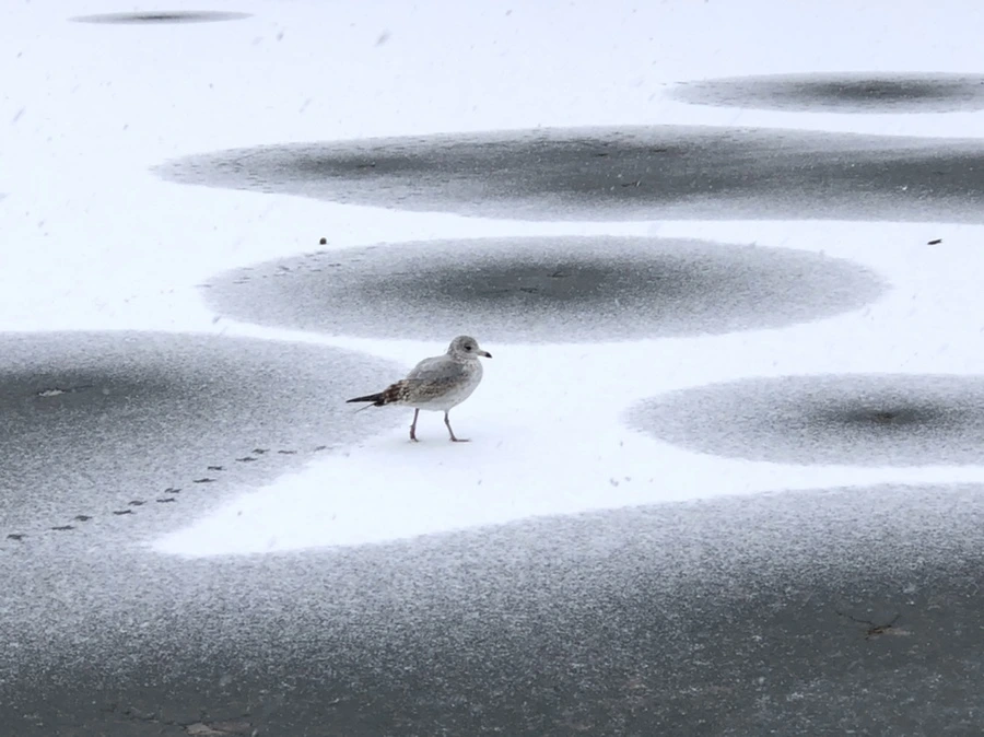 IMG_5968.jpg?type=w966