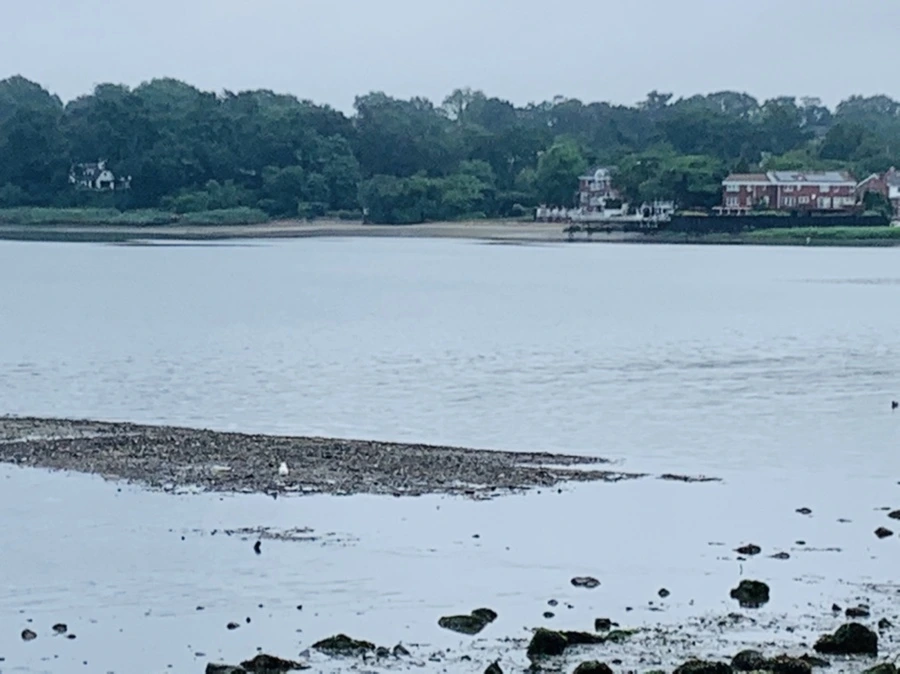 IMG_4798.jpg?type=w966