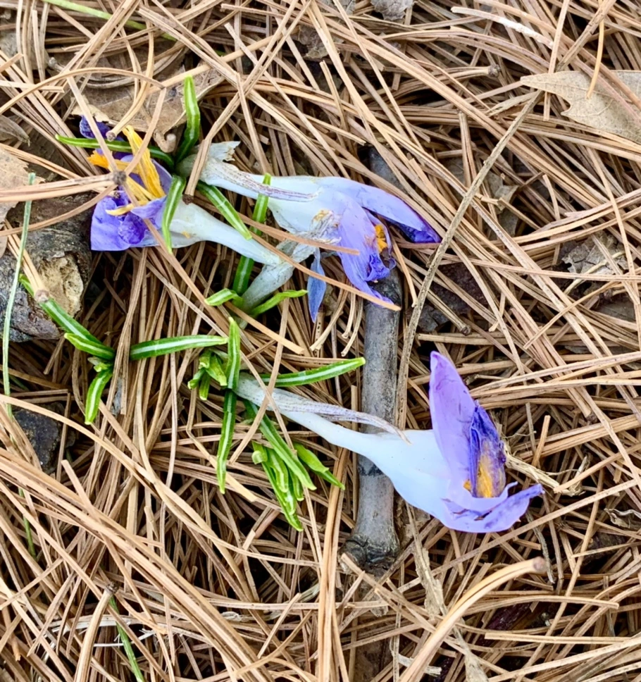 IMG_1420.jpg?type=w966