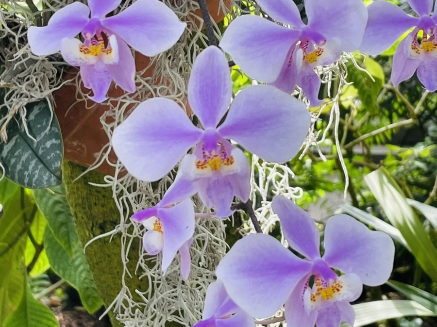 IMG_4468.jpg?type=w966