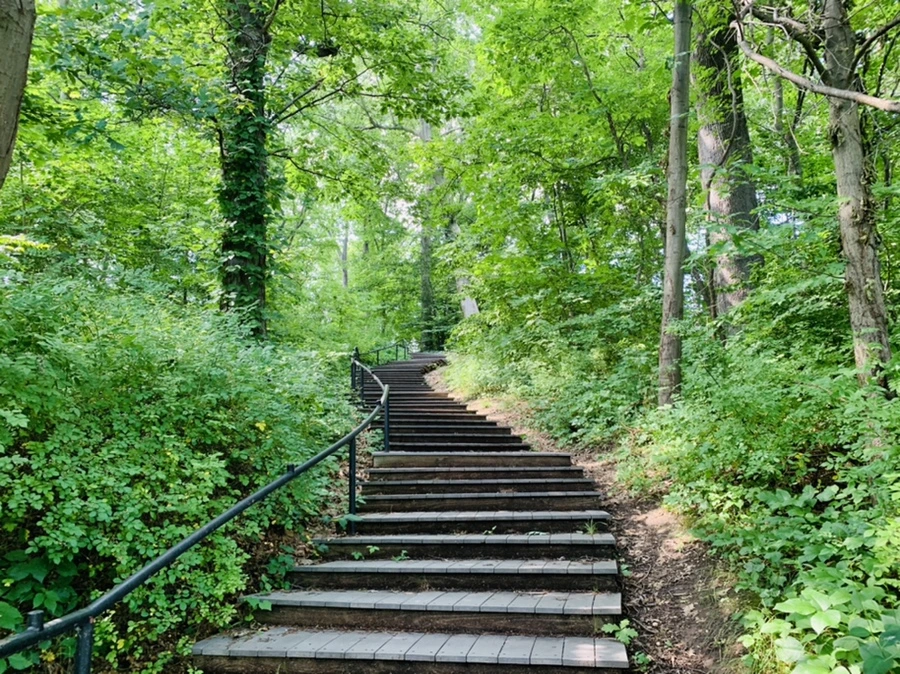 IMG_7641.jpg?type=w966