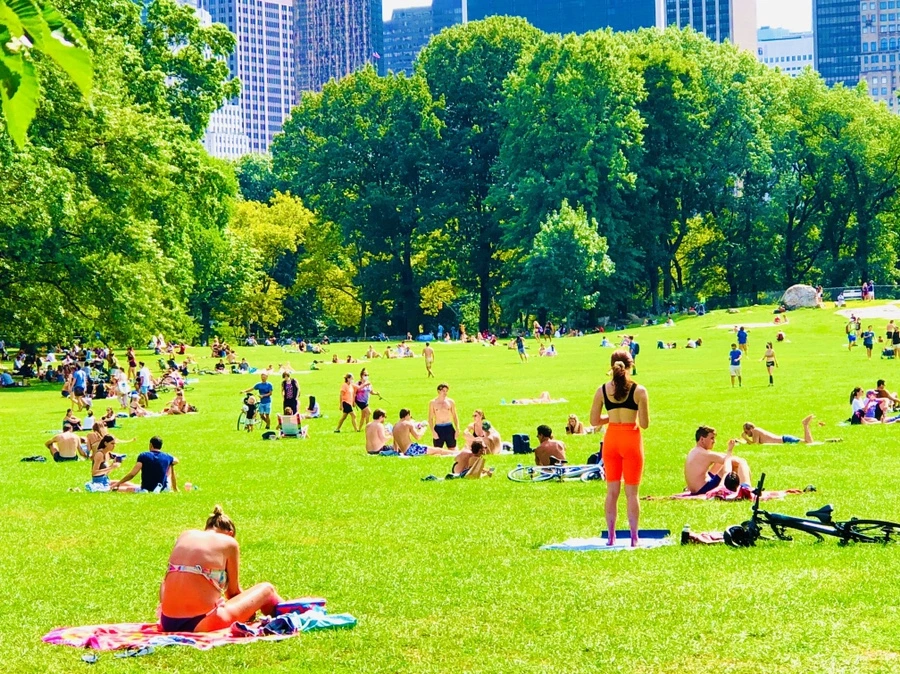 IMG_9489.jpg?type=w966