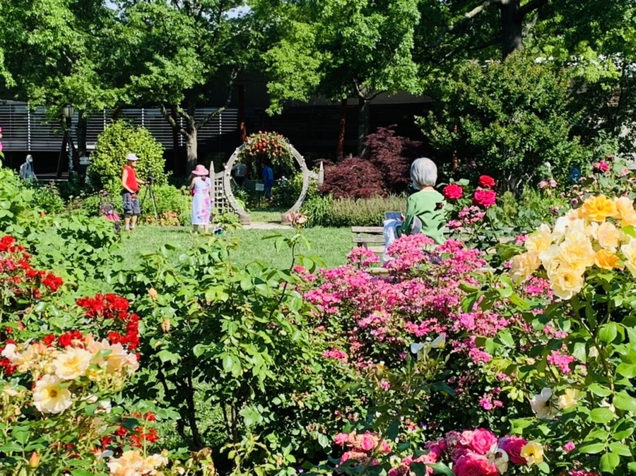 IMG_3100.jpg?type=w966