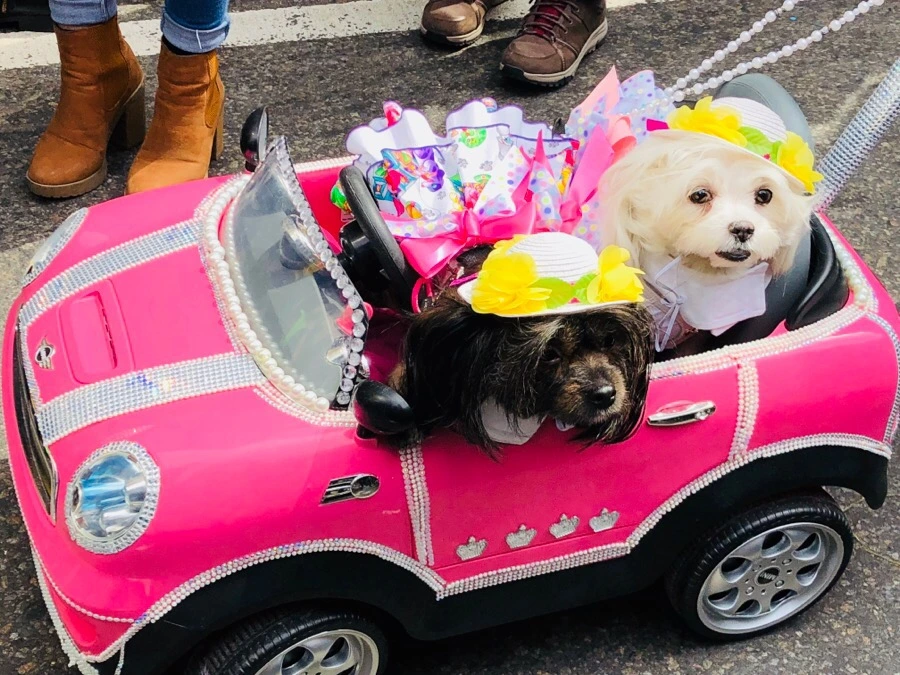 IMG_3977.jpg?type=w966