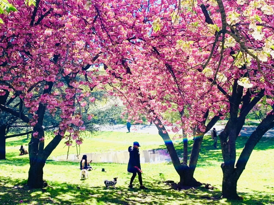 IMG_5875.jpg?type=w966