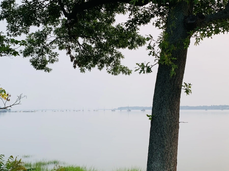 IMG_8185.jpg?type=w966