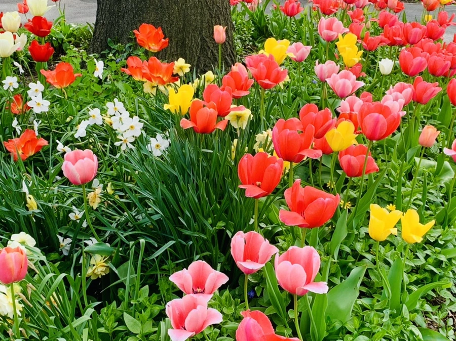 IMG_6969.jpg?type=w966