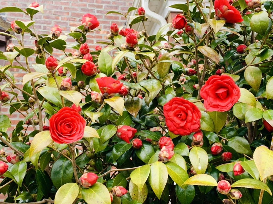 IMG_6787.jpg?type=w966