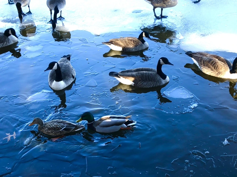 IMG_9914.jpg?type=w966