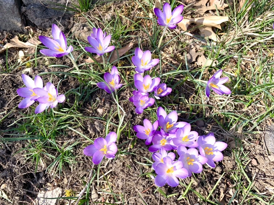 IMG_0193.jpg?type=w966