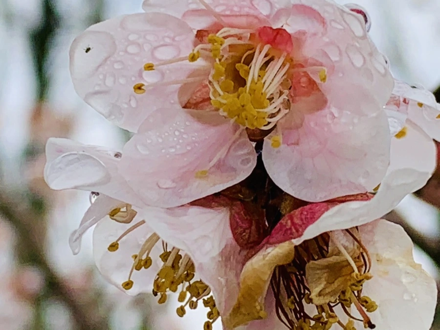 IMG_3912.jpg?type=w966