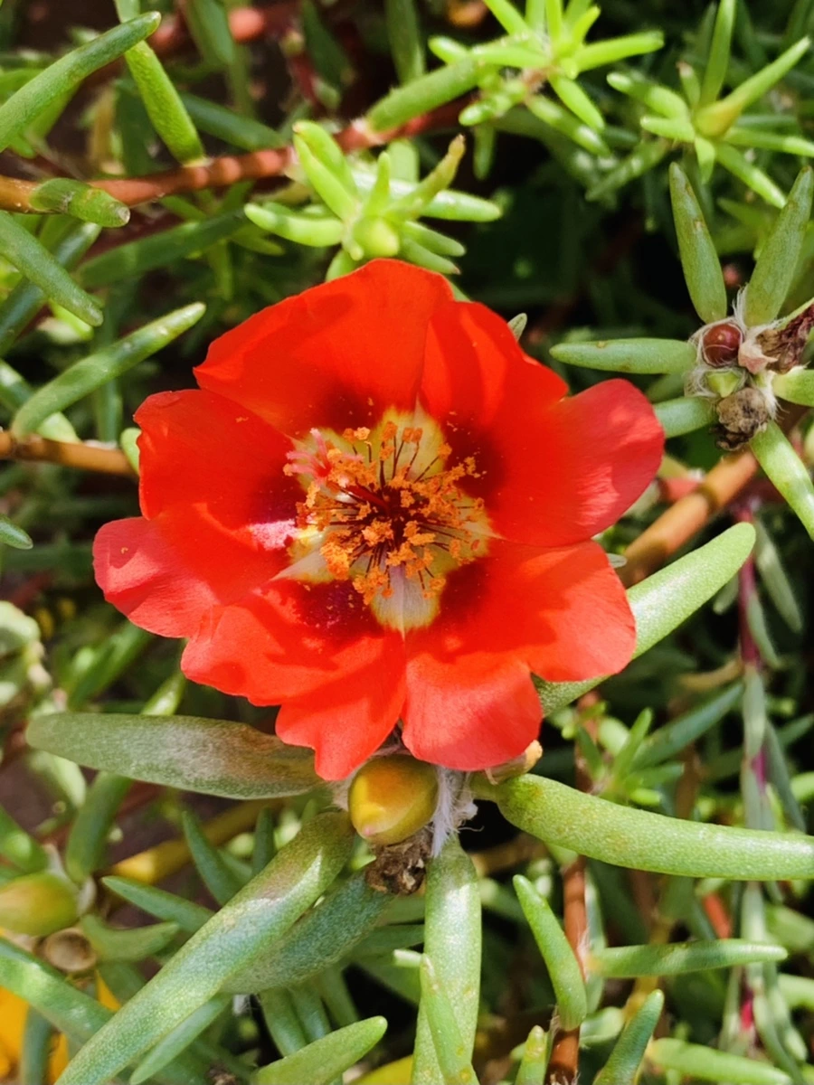 IMG_6670.jpg?type=w966