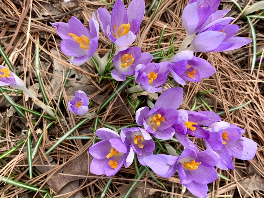 IMG_0436.jpg?type=w966