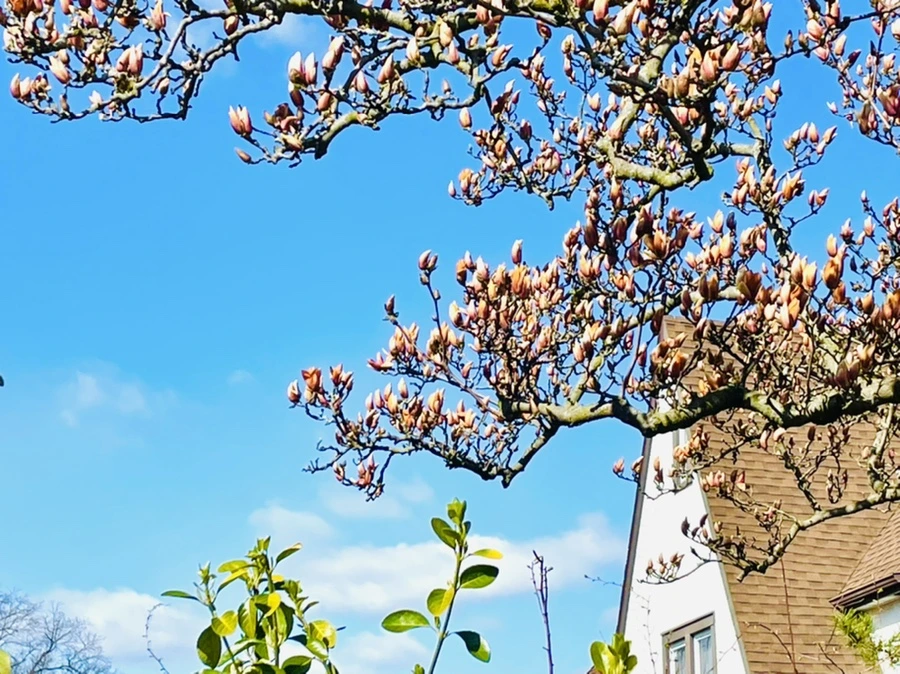 IMG_7675.jpg?type=w966