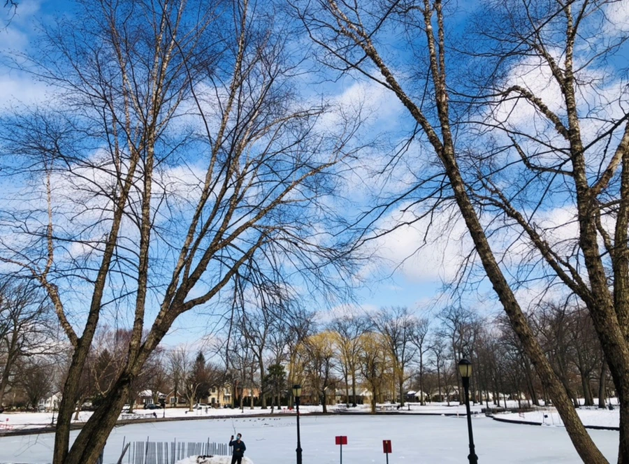 IMG_2838.jpg?type=w966