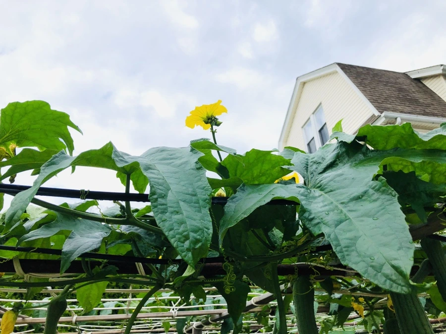 IMG_4165.jpg?type=w966