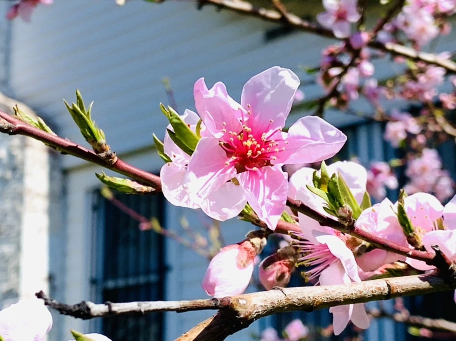 IMG_8177.jpg?type=w966